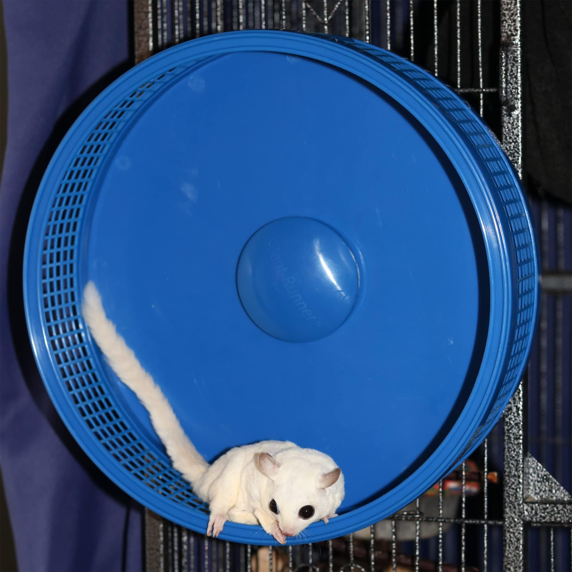 Silent Runner Pro | Sugar Glider Exercise Wheel (Black With Attachment)